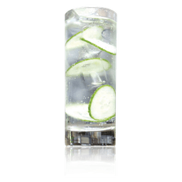 Premium Gin