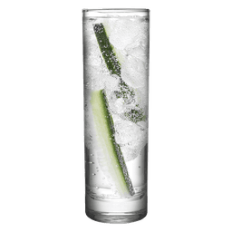 Premium Gin