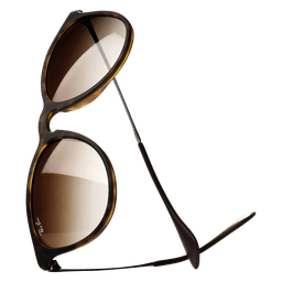 Ray-Ban® Erika Solbriller