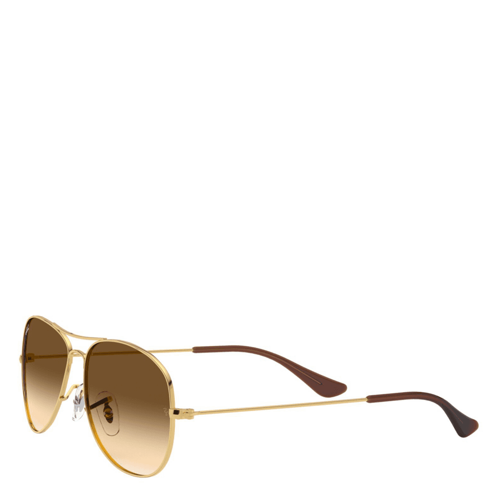 Ray-Ban® Cockpit Solbriller