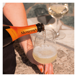 Prosecco Organic Treviso