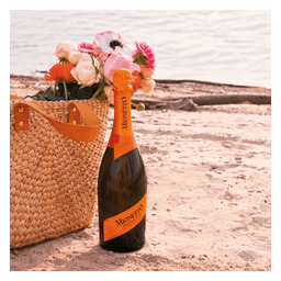 Prosecco Organic Treviso