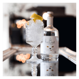 Old Tom Gin Organic