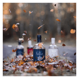 Organic Gin
