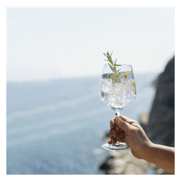Mediterranean Gin