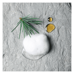 Homme Shower Foam