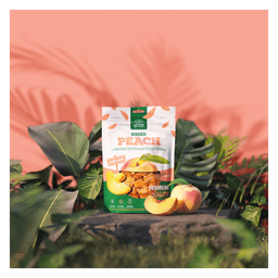 Dried fruit bites