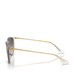 Ray-Ban® Erika Solbriller
