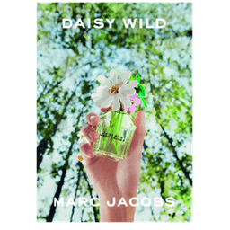 Daisy Wild