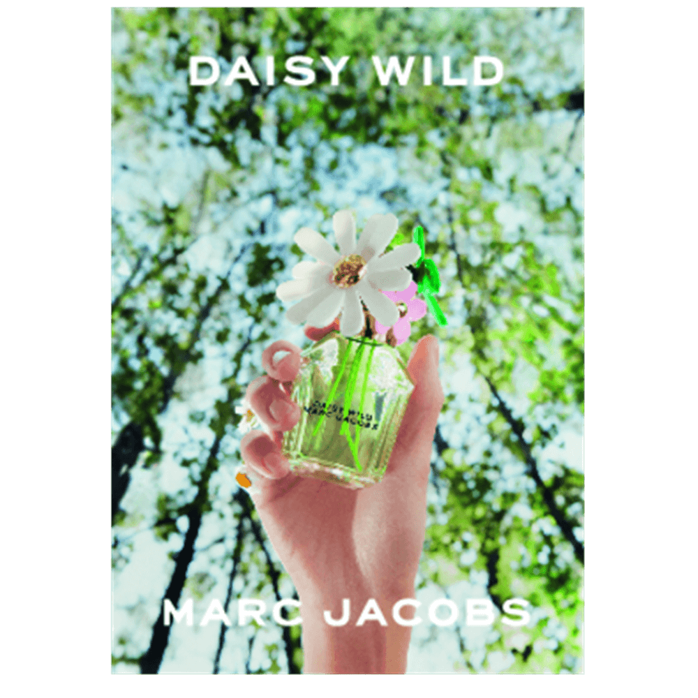 Daisy Wild