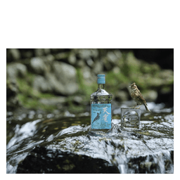 Japanese Gin