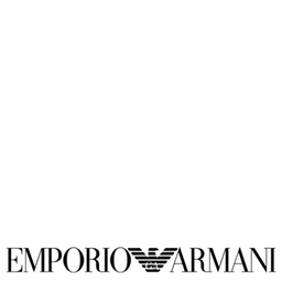 Emporio Armani® Matte Black Solbriller