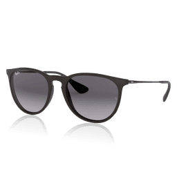Ray-Ban® Erika Solbriller