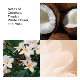 Green Tea Coconut Breeze