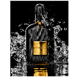 Black Orchid