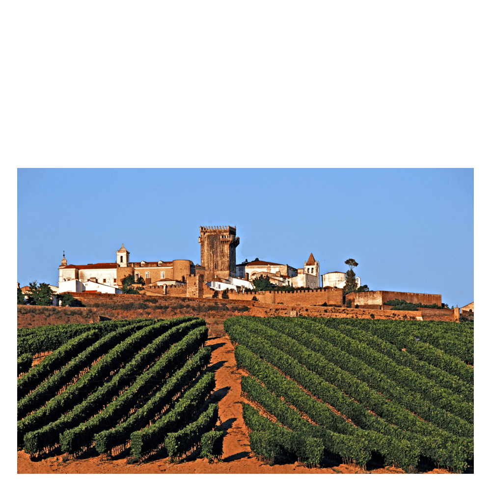 Ramos Reserva