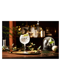 Premium Gin
