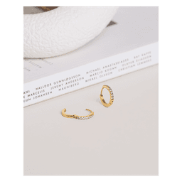 Shiny Hoops medium