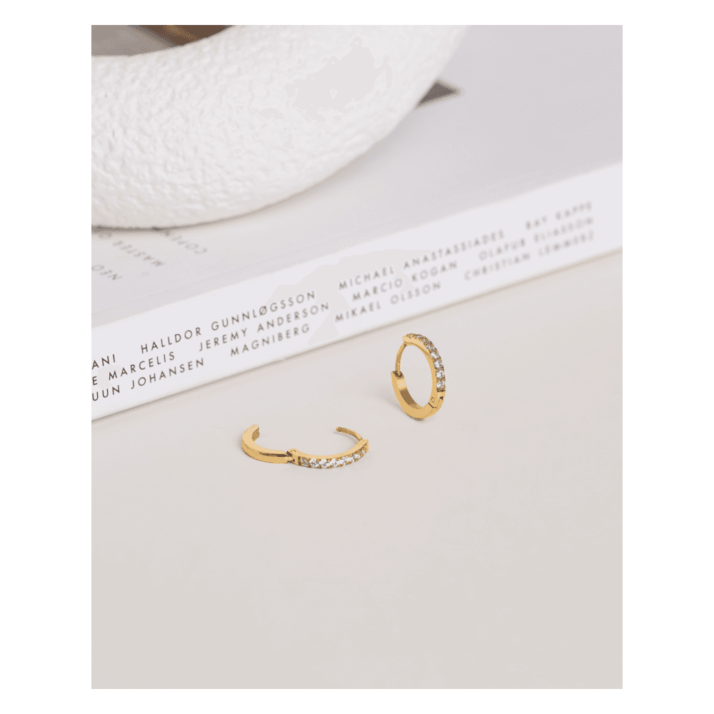 Shiny Hoops medium