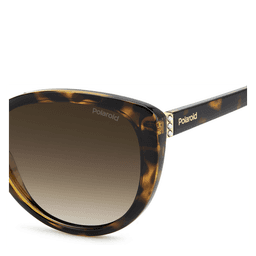 Polaroid Solbriller Havana, brown lenses