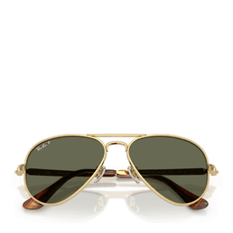 Aviator Max Solbriller
Polished Arista/gold, green lenses