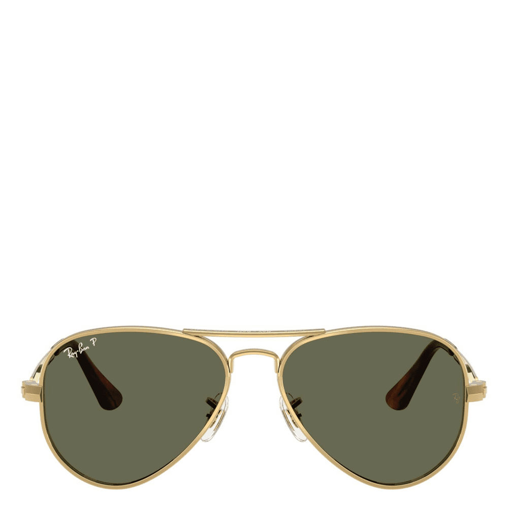Aviator Max Solbriller
Polished Arista/gold, green lenses