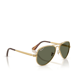 Aviator Max Solbriller
Polished Arista/gold, green lenses