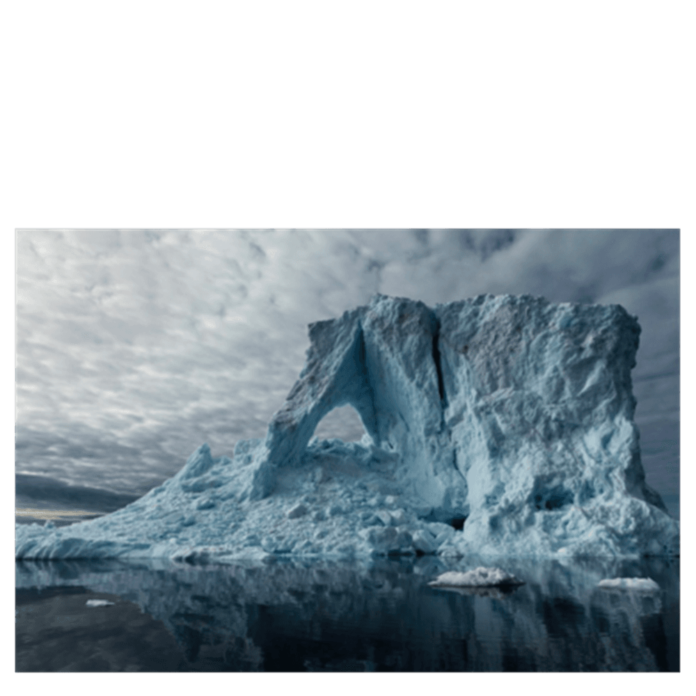 WILD Arctic billedsamling