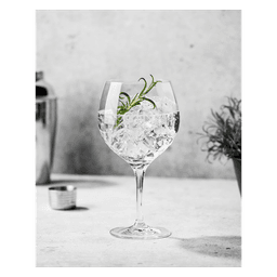 Dry Gin PET