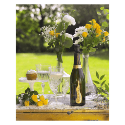 Bottega Prosecco D.O.C.