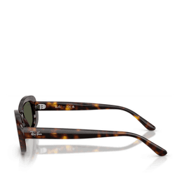 Ray-Ban® Black Havana Solbriller Black/havana, dark green lenses