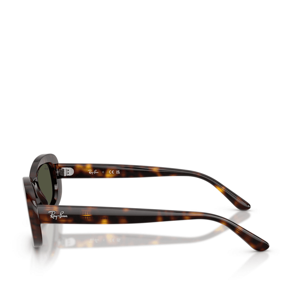Ray-Ban® Black Havana Solbriller Black/havana, dark green lenses