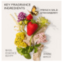 Green Tea Strawberry Basil Honey Drops Body Cream