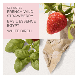 Green Tea Strawberry Basil EdT