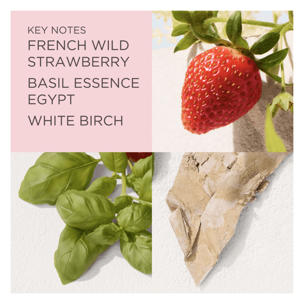 Green Tea Strawberry Basil EdT