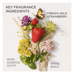 Green Tea Strawberry Basil Honey Drops Body Cream