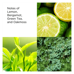 Green Tea Cream Deodorant 3-pack