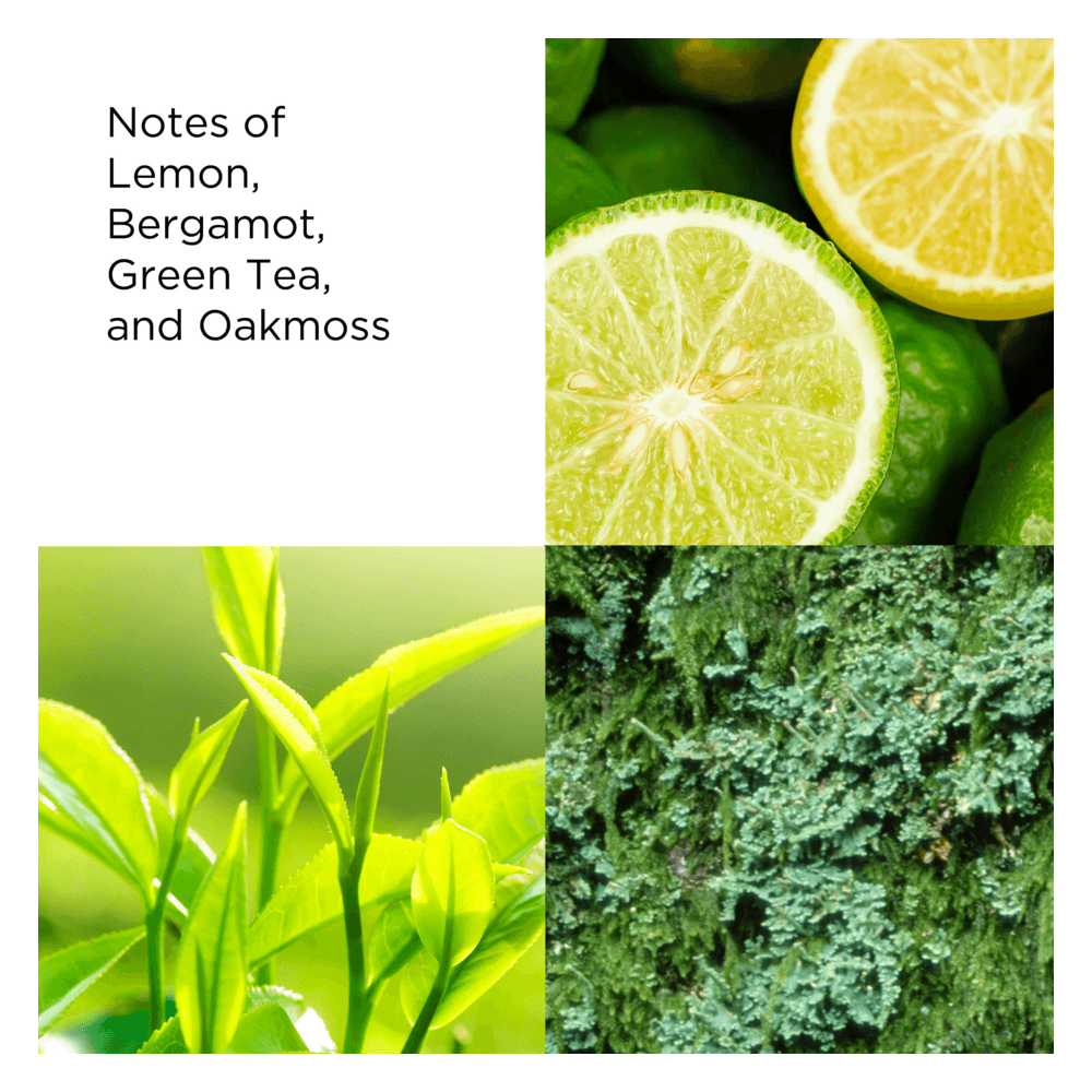 Green Tea Cream Deodorant 3-pack