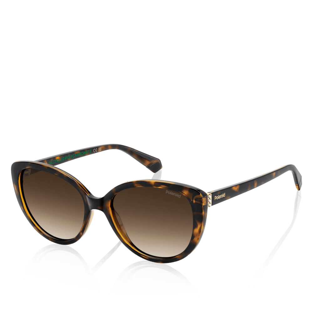 Polaroid Solbriller Havana, brown gradient polarized lenses