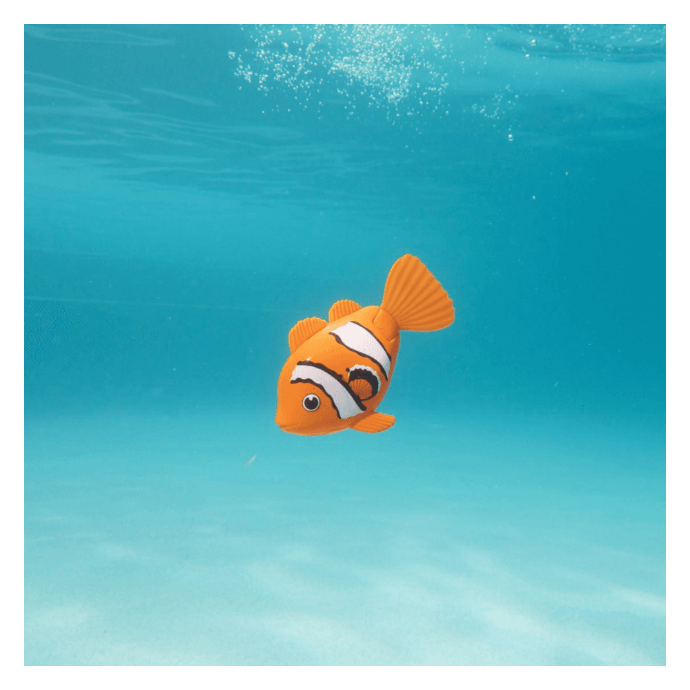 Sjov svømmefisk til poolen