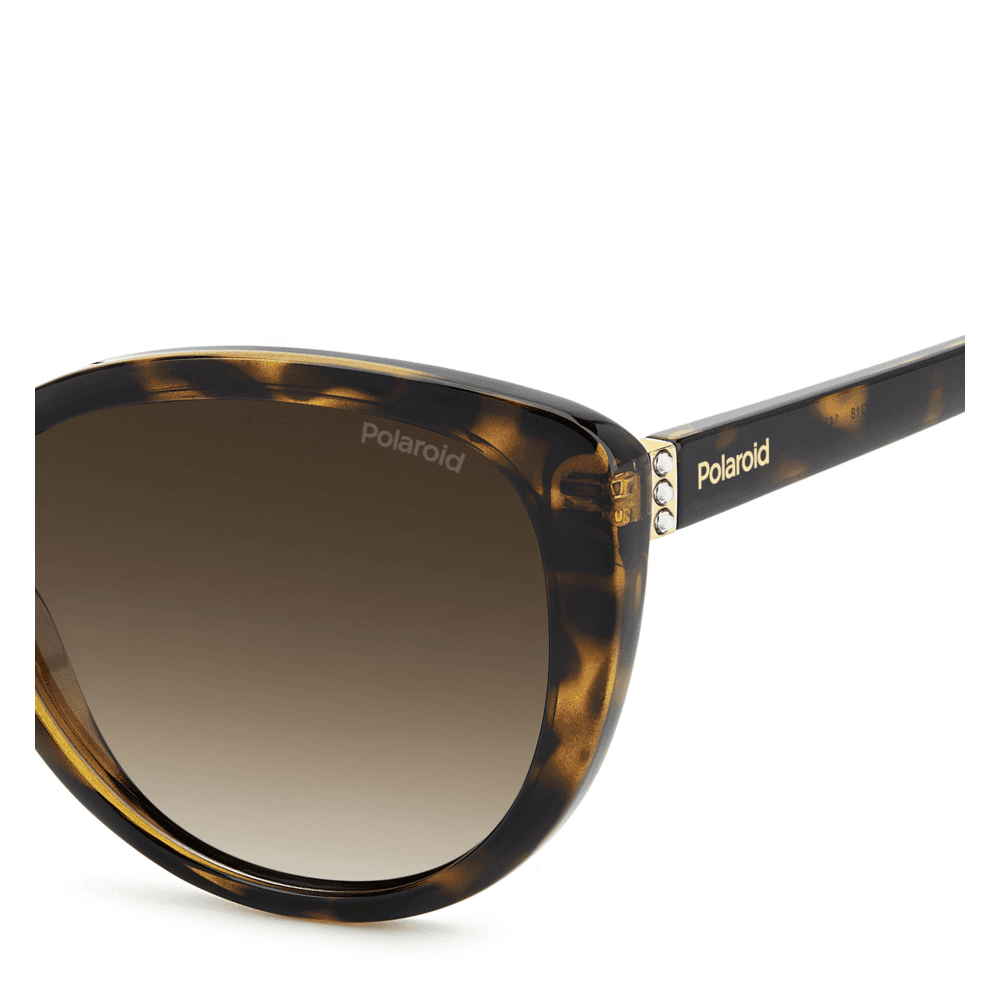 Polaroid Solbriller Havana, brown lenses